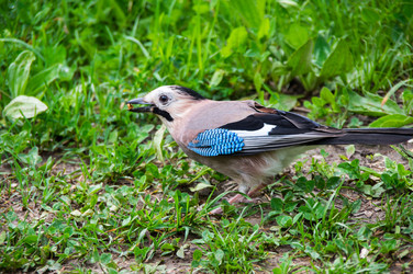 Similar image 22425297