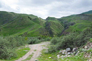 Similar image 22425310