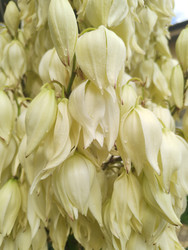 Similar image 22425663