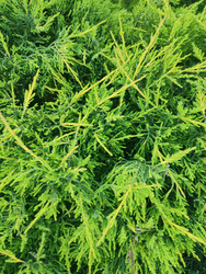 Similar image 22425664