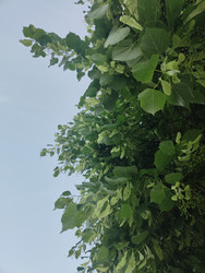 Similar image 22425665