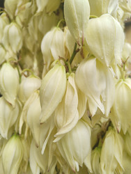 Similar image 22425666