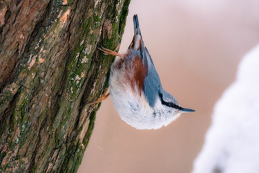 Similar image 22452285