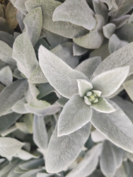 Similar image 22425668