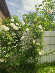 Similar image 22425669