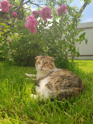 Similar image 22425671