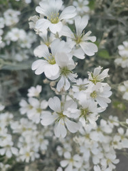 Similar image 22425672