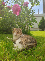 Similar image 22425673