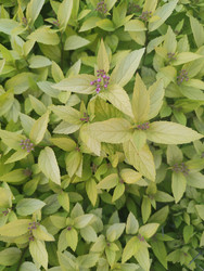 Similar image 22425688