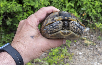 Similar image 22460598