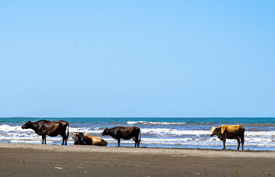 Similar image 22431807