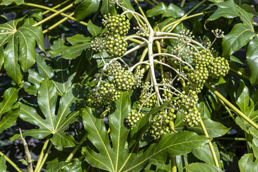 Similar image 22431811