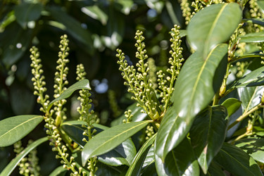 Similar image 22431813