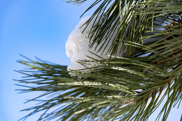 Similar image 22431815