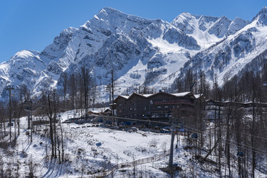 Similar image 22431820