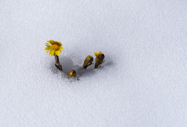 Similar image 22431824