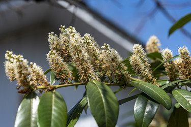 Similar image 22431830