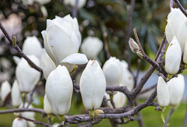 Similar image 22431833