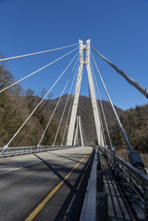 Similar image 22431840