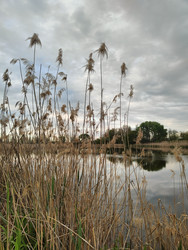 Similar image 22426925