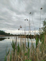 Similar image 22426929