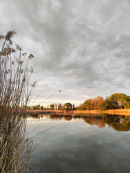 Similar image 22426930