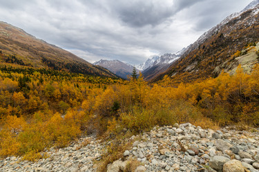 Similar image 22427101