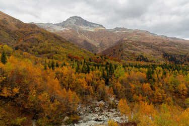 Similar image 22427102