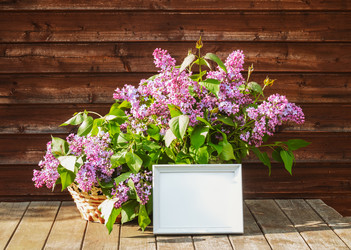 Similar image 22425488