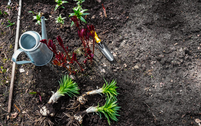 Similar image 22425492