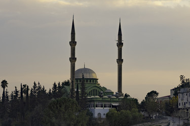 Similar image 22426792