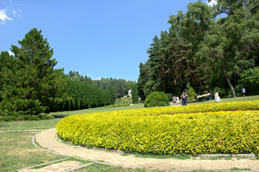 Similar image 22426793