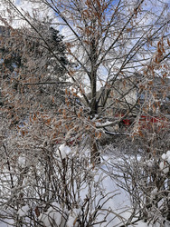 Similar image 22425474