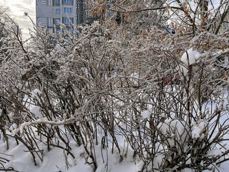 Similar image 22425476