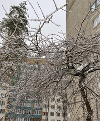 Similar image 22425478