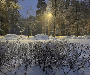 Similar image 22425493