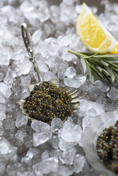 Similar image 22443142