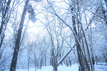 Similar image 22427243