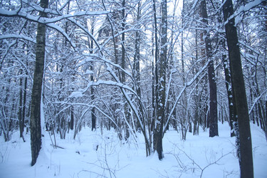 Similar image 22427255