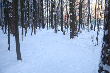 Similar image 22427261