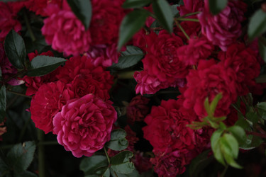 Similar image 22426982