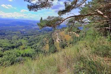 Similar image 22426849