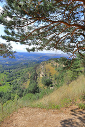 Similar image 22426858