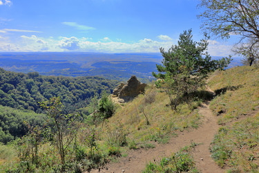 Similar image 22426859