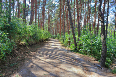 Similar image 22426862