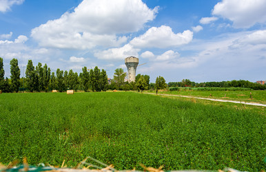 Similar image 22427488