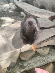 Similar image 22426934