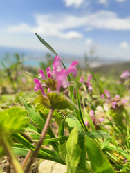 Similar image 22426936