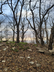 Similar image 22426937