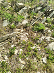 Similar image 22426938